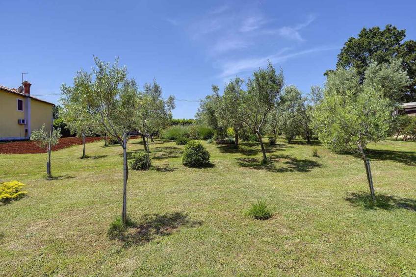 Holiday house with pool - BF-44NCD - foto 5