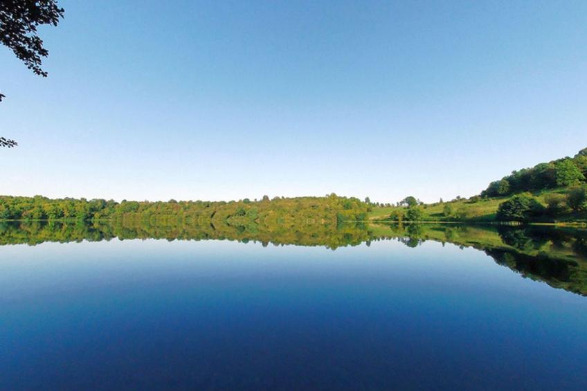 Vulkaneifel in Daun - foto 38