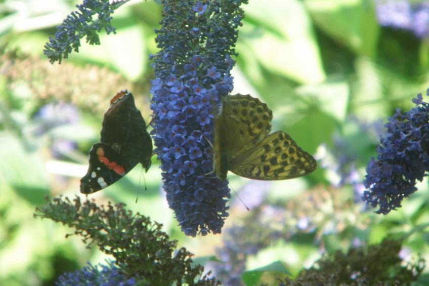 am malerischen Nepperminer See - foto 34