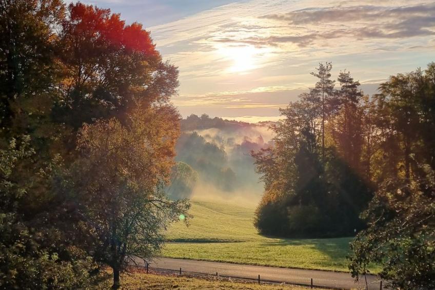 Appartement Apollo in der Wohlfühloase am Trausdorfberg mit Sauna Whirlpoolnutz - foto 27