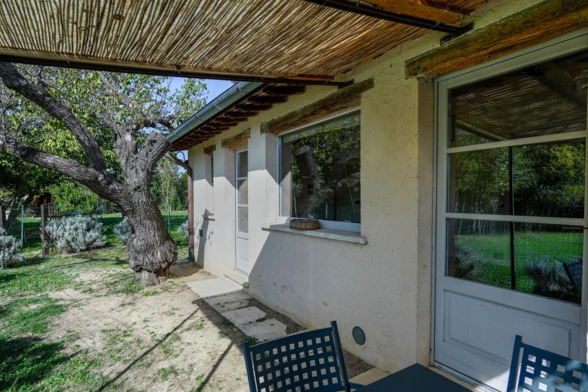 'Molinello albicocco' - foto 2