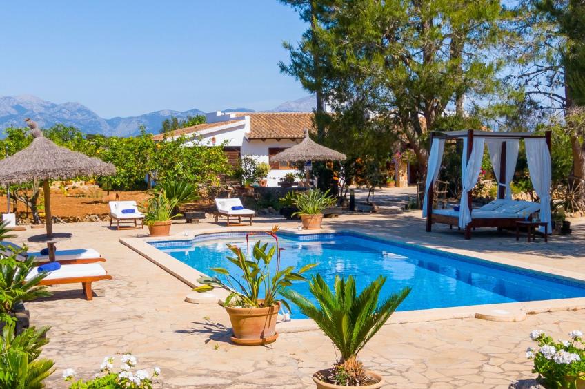 Mulet Llubi - foto 6