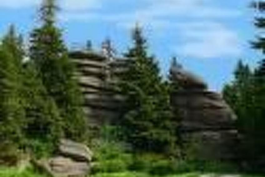 mit Kaminofen, Fitnessraum und Sauna - foto 9