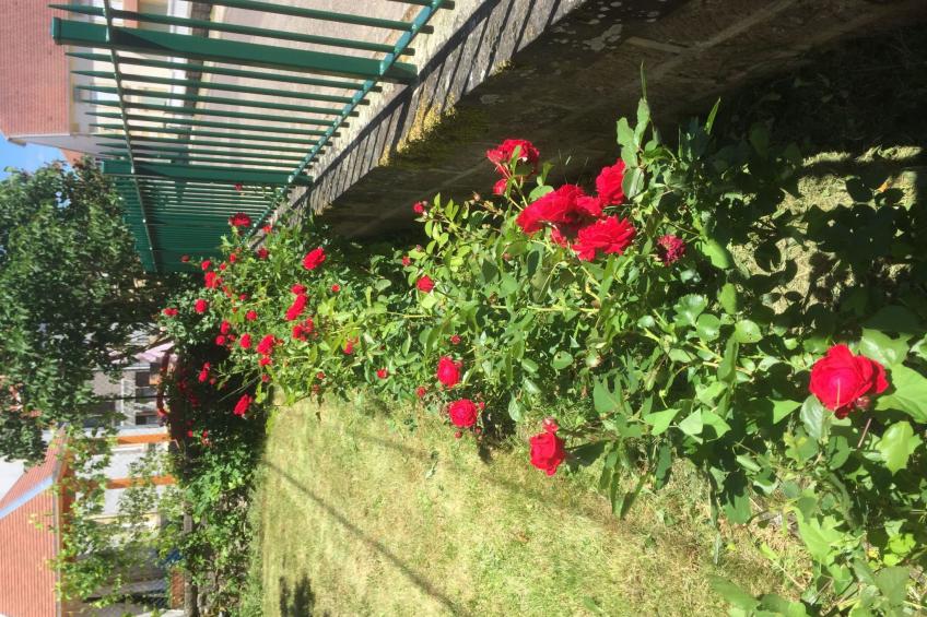 Les deux Unicornes Herrenhaus - foto 19