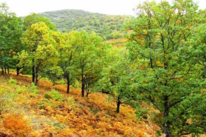 Fachwerkhaus "Casa Rural Picual" - foto 26