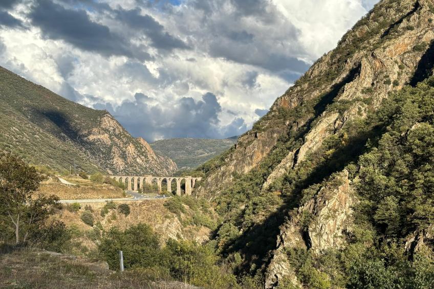 The Olive Retreat - foto 35