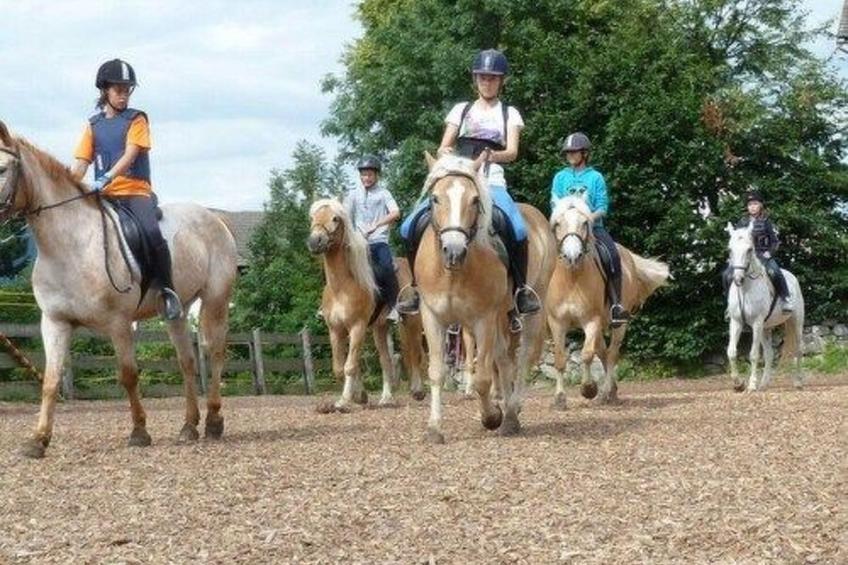 Panorama - Apartment - foto 47