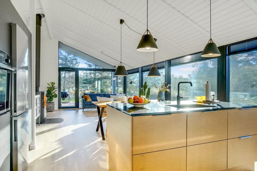 "Remko" - 1.5km from the sea in NW Jutland - foto 8