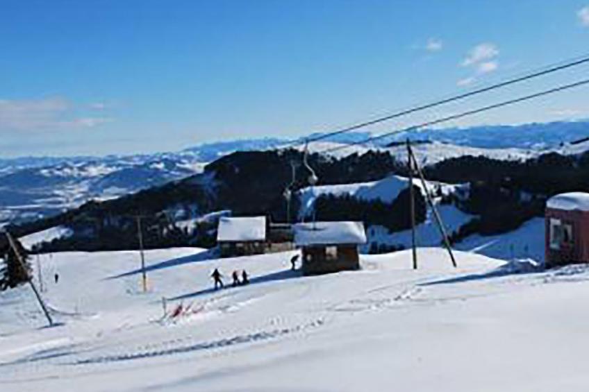 FeWo Südhang - foto 16