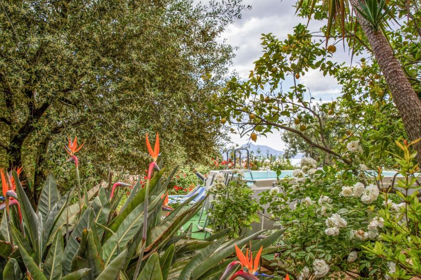 Sonnenstrahl - foto 13