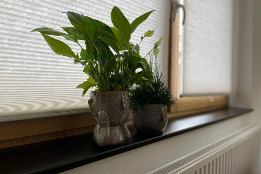 Schönes Ferienhaus in Neundorf mit Großer Terrasse - foto 2