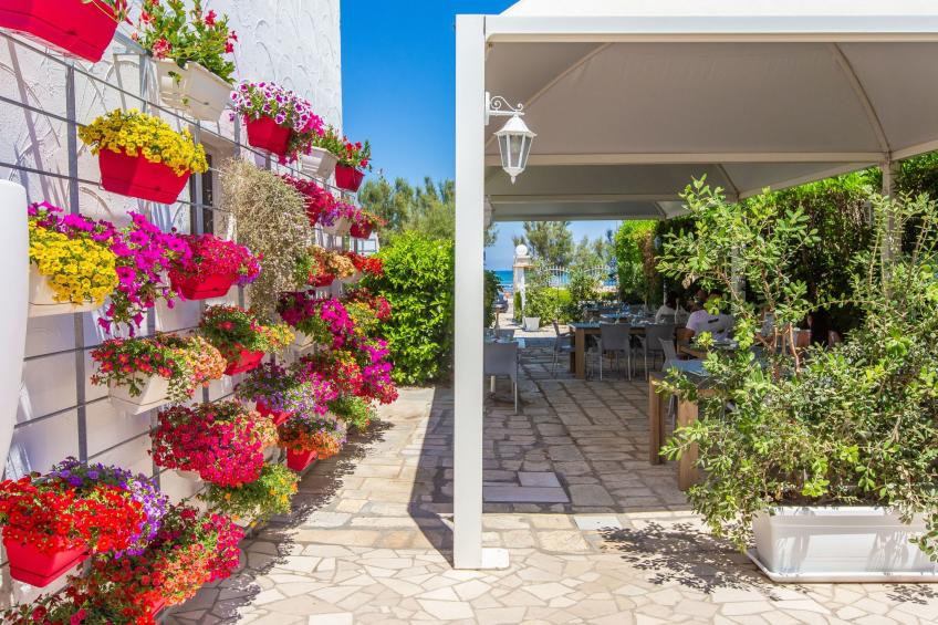 Flaches Meer aus Kiefernholz - foto 35