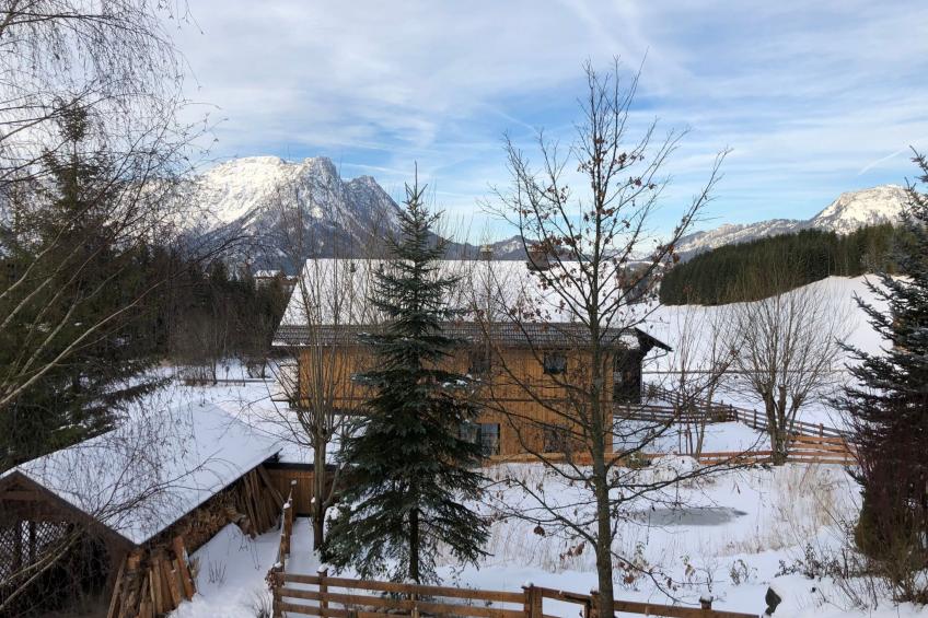Tolle Wohnung in Bad Aussee mit Garten und Grill und Bergblick - foto 10