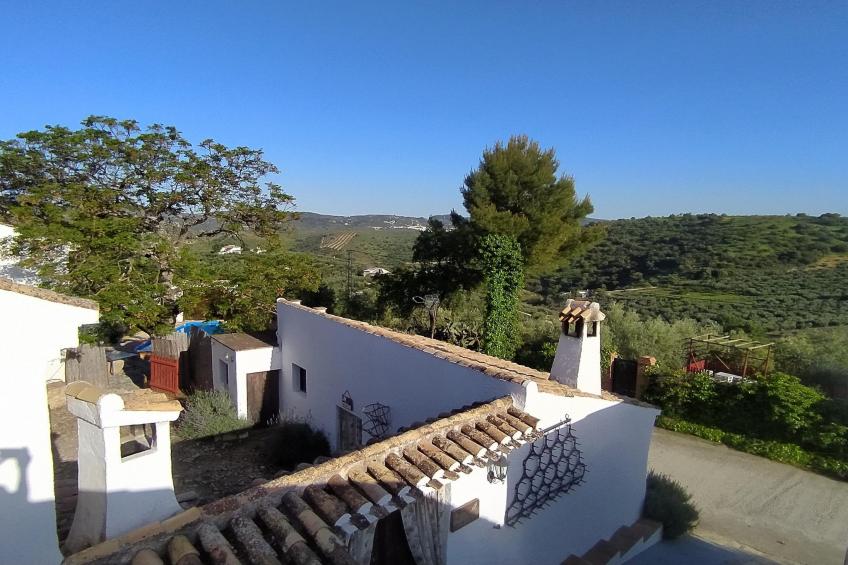 El Molino - foto 9