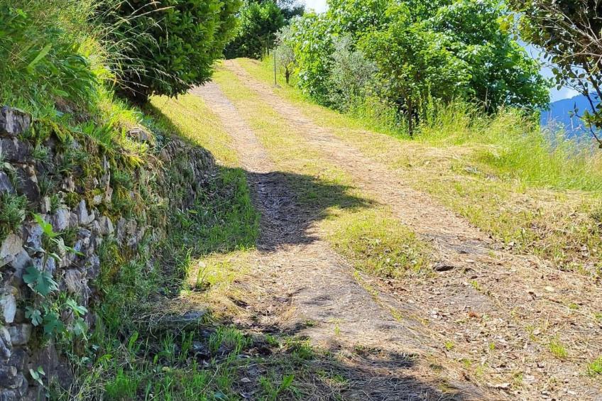 Rustico Ca Mignolo - foto 14