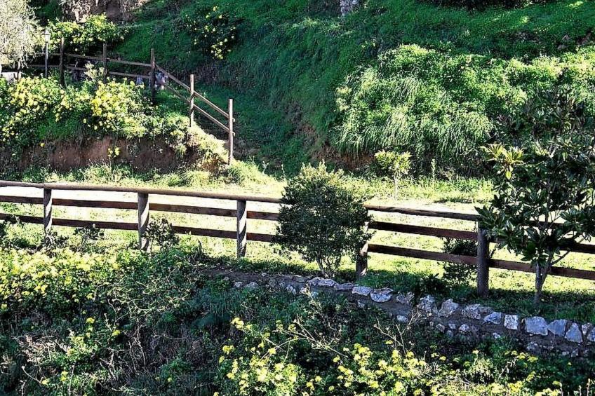 Granatapfel-Wohnung - foto 25