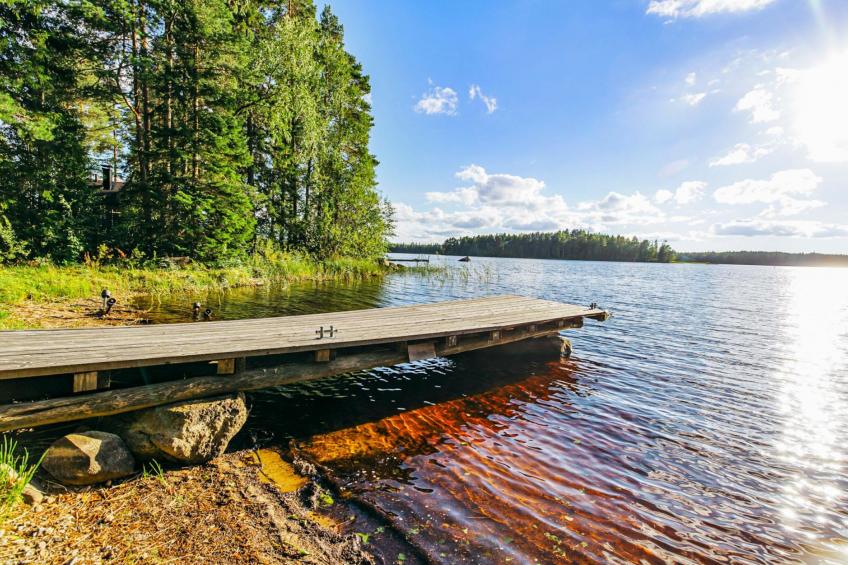 Aapeli iso - foto 16