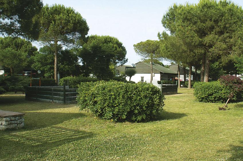 Residence Mare Pineta (CBT100) - foto 35