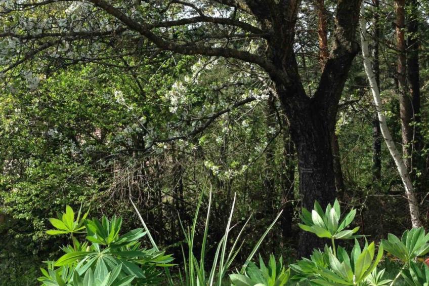 Chalet "Rennweg 114" mit Sauna - foto 62