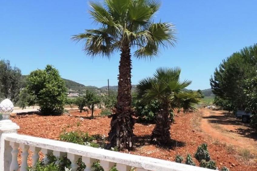 Ferienvilla Pla mit Pool in Xaló - foto 16