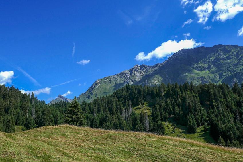 Nido delle Alpi - foto 27
