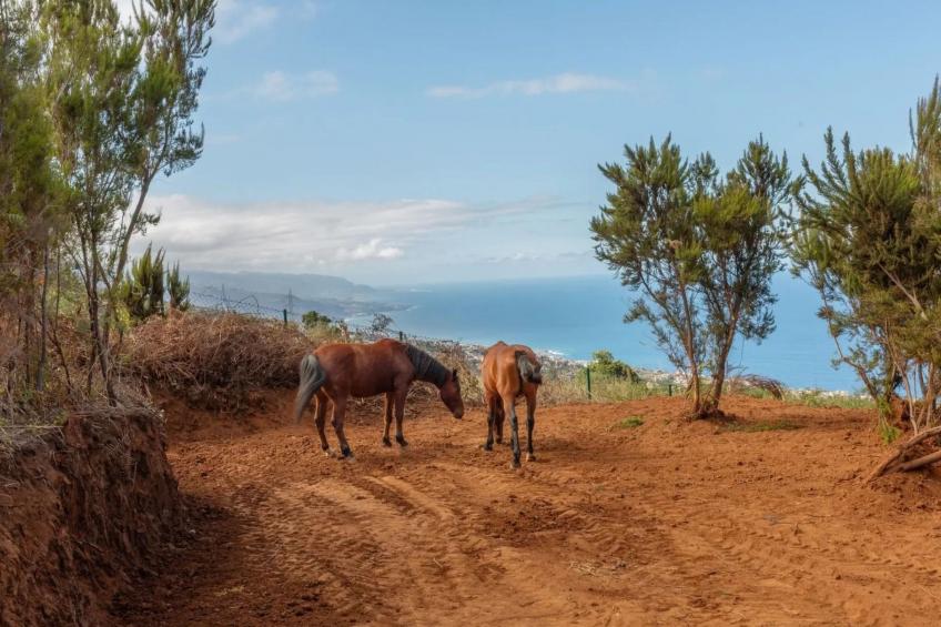 "El pajal House Relax" - foto 36