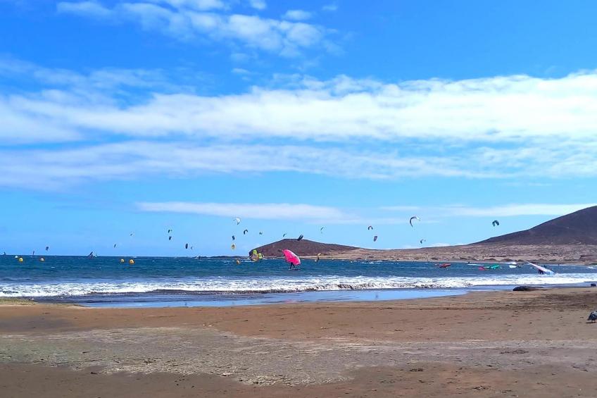 Delfin 14A 2d - foto 30