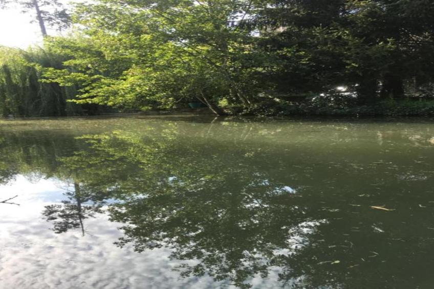 Maison de vacances - LOUBEJAC - foto 39