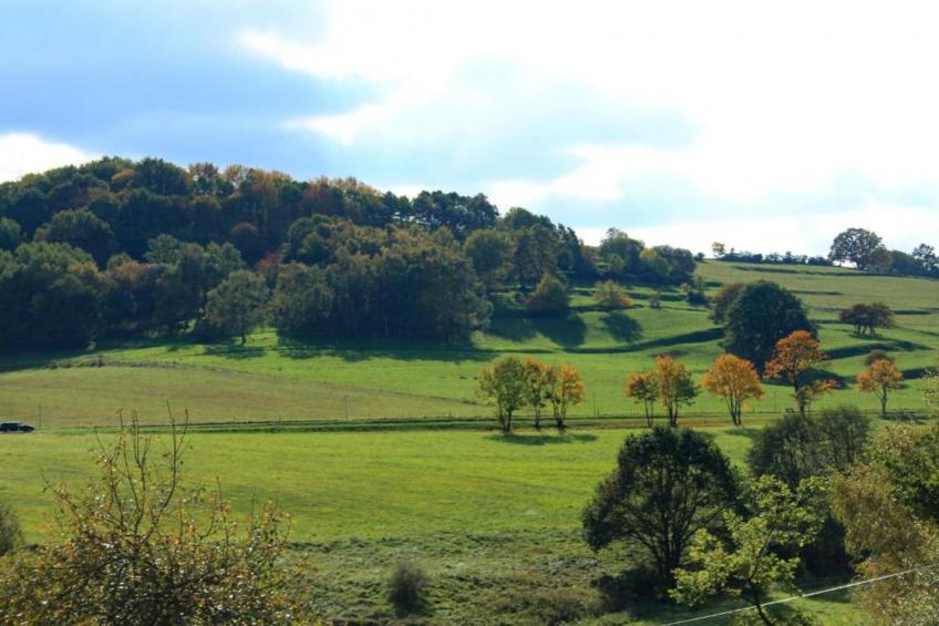 Schwarzhausen - foto 32