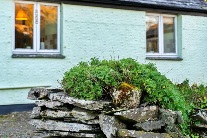 Jenny Wren - foto 30