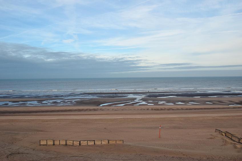 James Ensor 0301 - foto 13