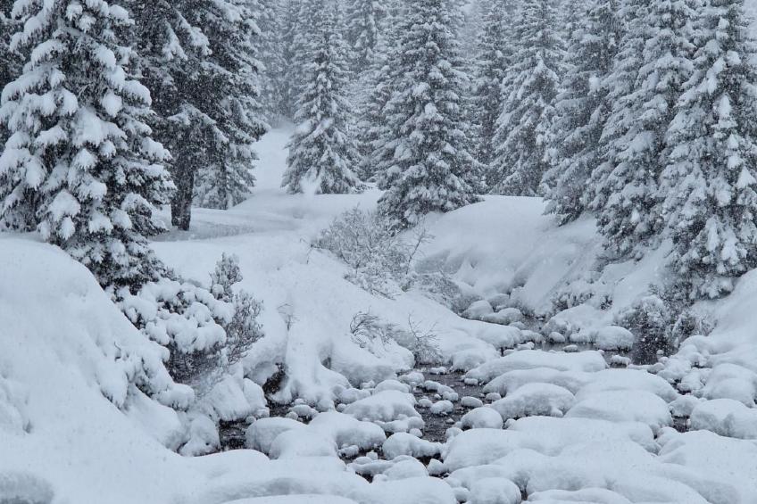 Wohnung Bella vista & Alp'sport - foto 43