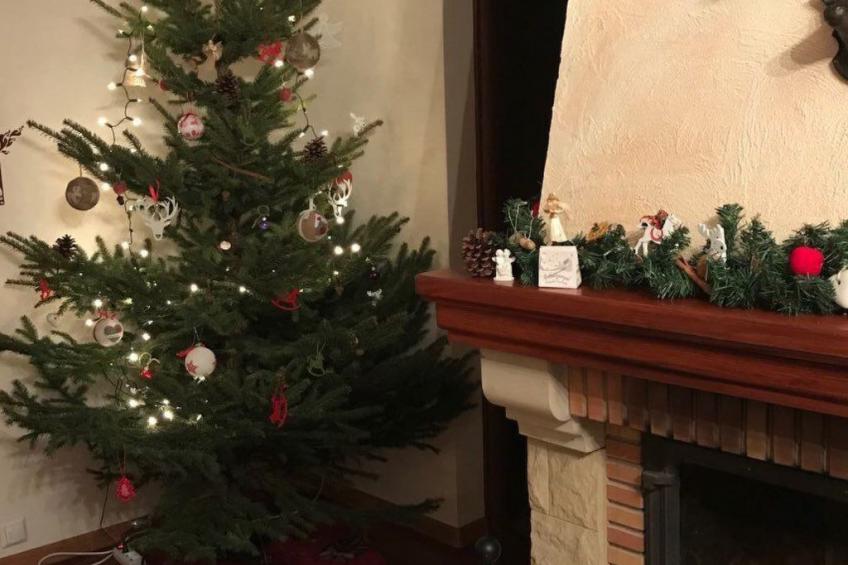 Świstakówka - foto 22