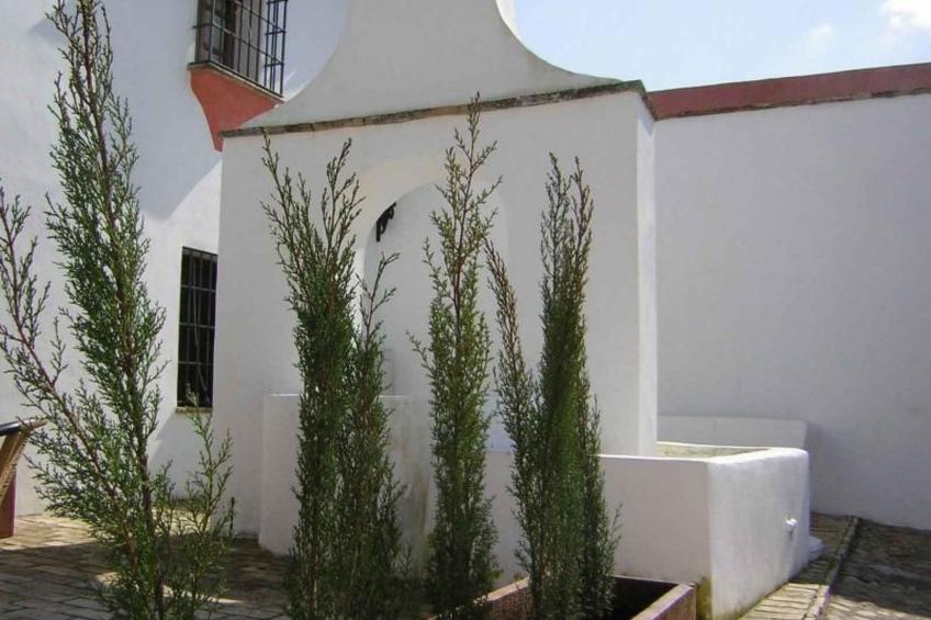 Ländliches Haus "El Pozo" mit Terrasse - foto 4