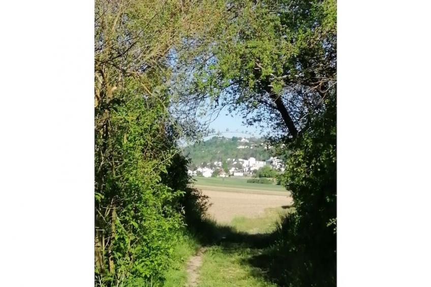 393397 - foto 15