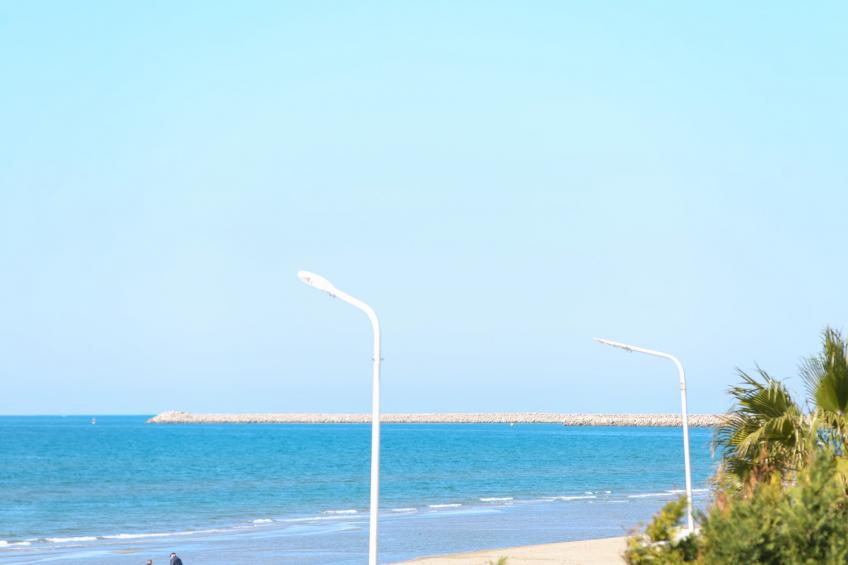 Beach Front Terace - foto 20