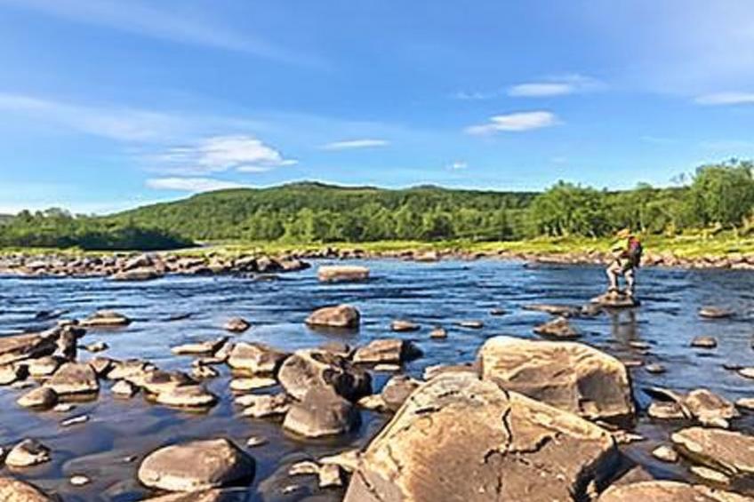 Karetörmä - foto 55