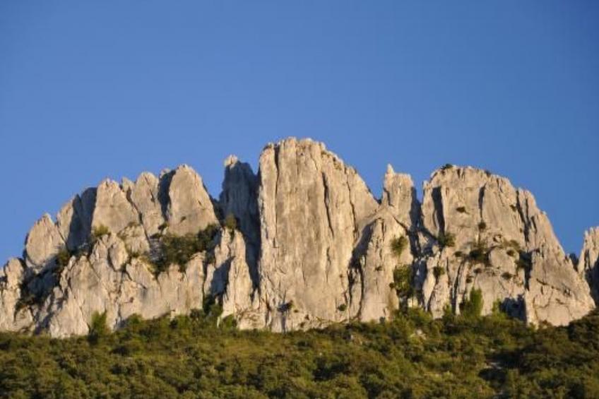 FERIENHAUS, FERIENHAUS "MAISON DE LAVANDE" (LAVENDELHAUS) - foto 42