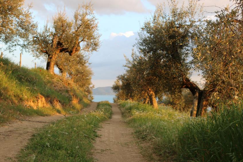 Renovierte Wohnung - foto 22