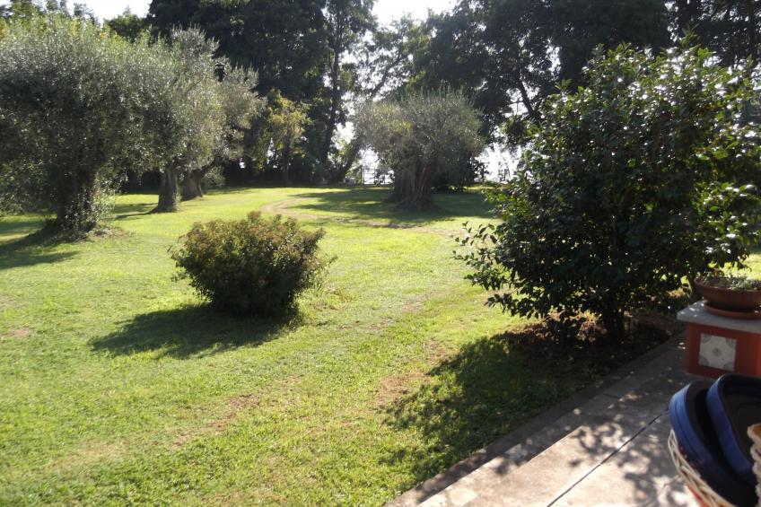 mit Wasserblick - foto 6