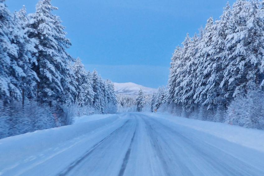 Villa Edda - foto 14