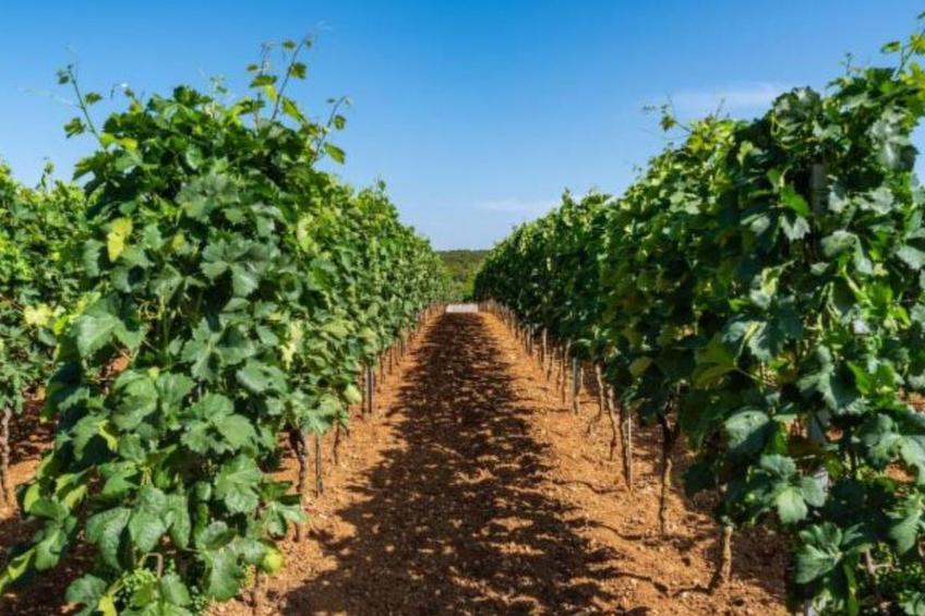 Apartment Tonka 3+2 - foto 4