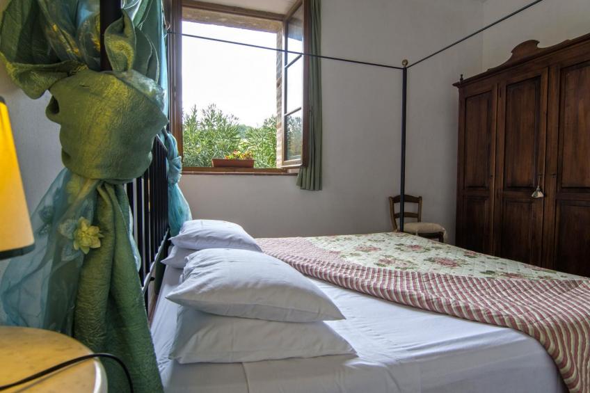 flach 'Salvia castellett - foto 3