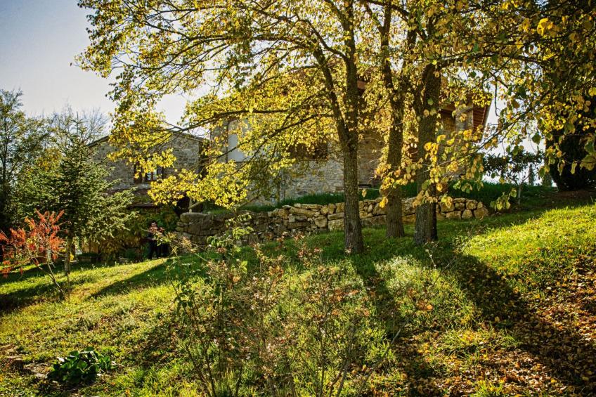 Das Walnusshaus - foto 31