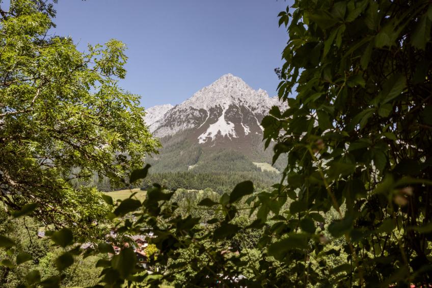 Studio Esche 2 - foto 49