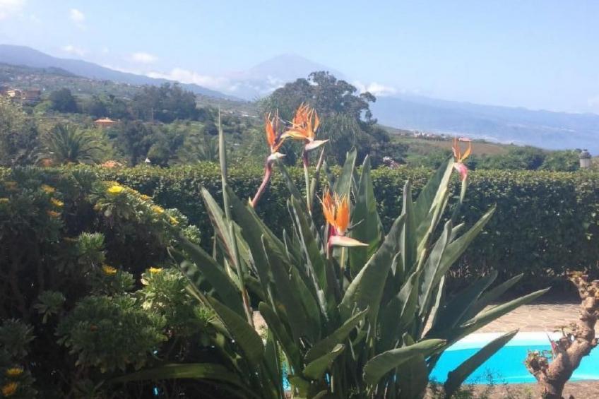 Finca Los Vinedos - foto 29