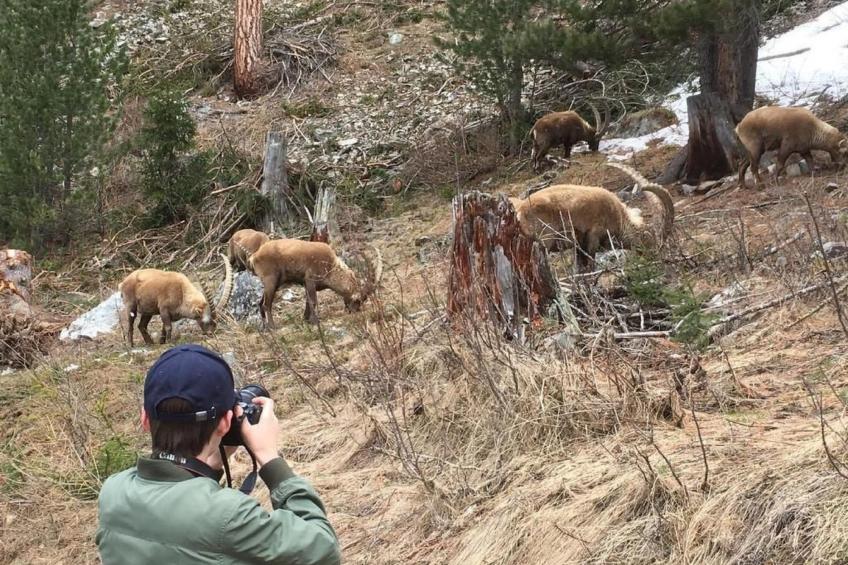 Chesa Andrea, EG - foto 42