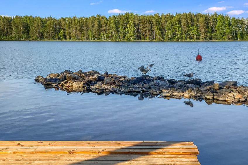 Koli suurselkä 1 - foto 19