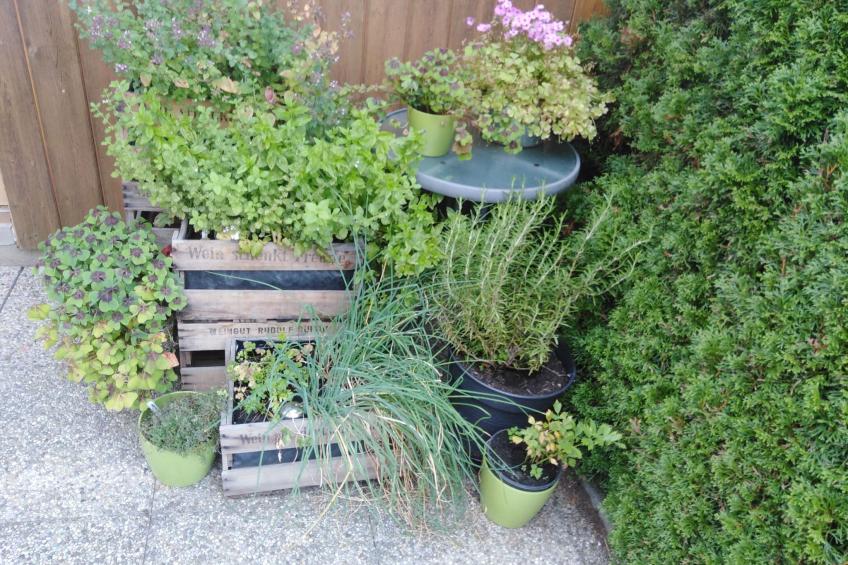 Urlaub in der Natur! - foto 16