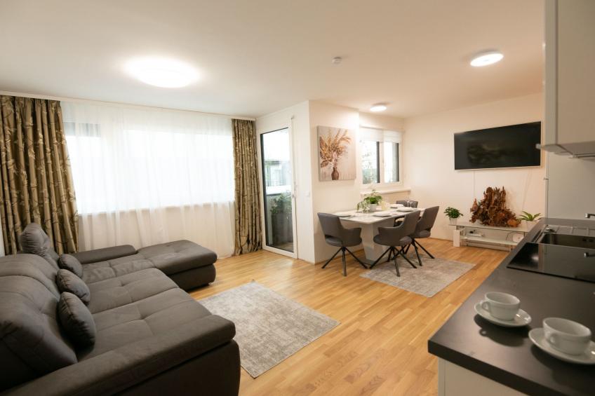 Moderne Wohnung in Kaisermühlen mit Garten und Panoramablick